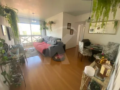 Imóvel Comercial com 3 Quartos à venda, 72m² no Vila Nova Cachoeirinha, São Paulo