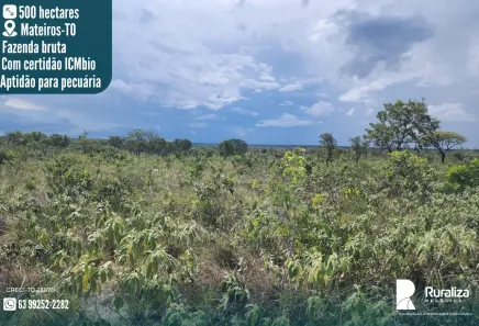 Fazenda/Sítio à venda, 802m² no , Dois Irmãos do Tocantins