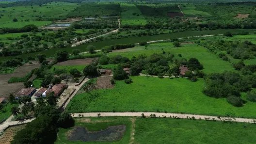 Fazenda/Sítio à venda, 70000m² no , Pilar