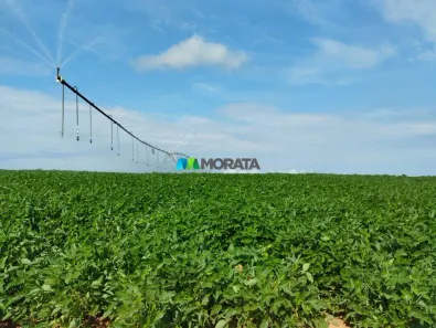 Fazenda/Sítio com 5 Quartos à venda, 780m² no Alto do Córrego, Paracatu