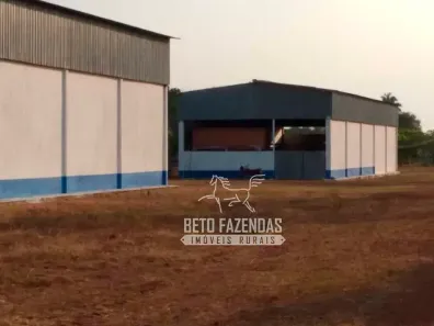 Fazenda/Sítio à venda, 838480000m² no , São Félix do Araguaia