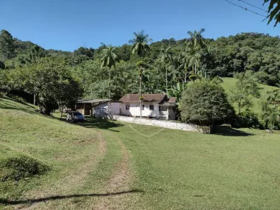 Lote/Terreno à venda, 52999m² no Belchior Baixo, Gaspar
