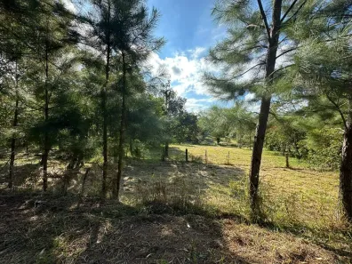 Lote/Terreno à venda, 2000m² no Fiuza, Viamão