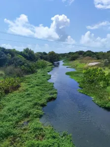 Fazenda/Sítio com 3 Quartos à venda, 2534000m² no , Rio do Fogo