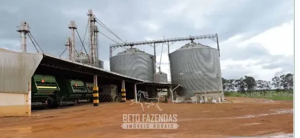 Fazenda/Sítio à venda, 135300000m² no Área Rural de Sinop, Sinop