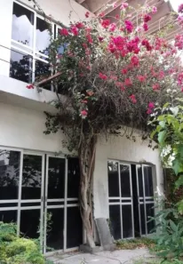 Casa com 10 Quartos à venda, 376m² no Engenho do Meio, Recife