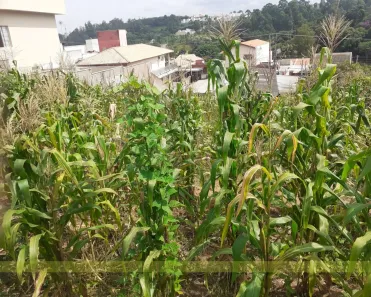 Lote/Terreno à venda, 250m² no Cidade Nova, Jundiaí