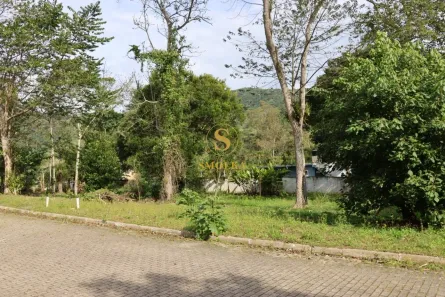 Lote/Terreno à venda, 452m² no Ratones, Florianópolis