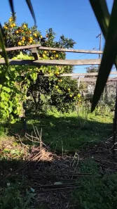 Lote/Terreno à venda, 308m² no São Vendelino, Bento Gonçalves