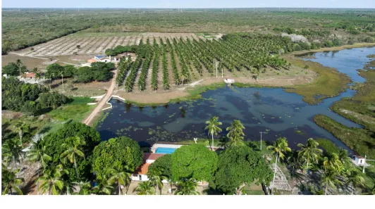 Fazenda/Sítio à venda, 1770200m² no , Trairi