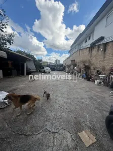 Lote/Terreno à venda, 647m² no Estoril, Belo Horizonte