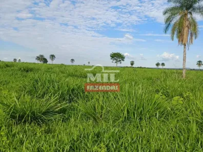 Fazenda/Sítio à venda, 500m² no Centro, Nova Roma