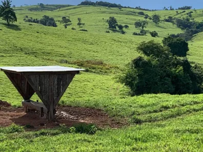 Fazenda/Sítio com 3 Quartos à venda, 200m² no , Ipameri
