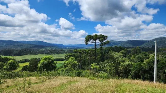 Fazenda/Sítio à venda, 20000m² no , Rio Rufino