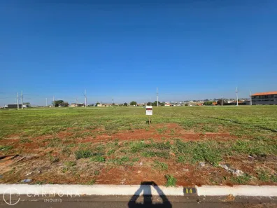Lote/Terreno à venda, 250m² no Chácara Manella, Cambé