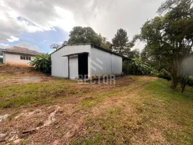 Galpão/Depósito/Armazém à venda, 288m² no Cachoeira, São José dos Pinhais