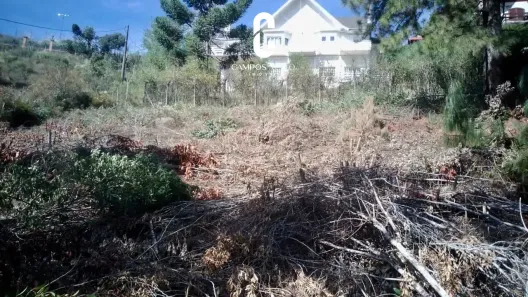 Lote/Terreno à venda, 1180m² no Colinas Capivari, Campos do Jordão