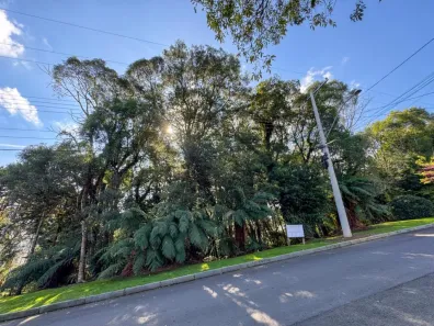 Lote/Terreno à venda, 620m² no Floresta, Gramado