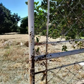 Lote/Terreno à venda, 500m² no Residencial Vista Alegre II e III (Zona Rural), São José do Rio Preto