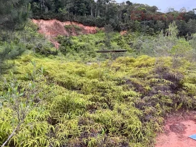 Lote/Terreno à venda, 3080m² no Centro, Santo Amaro da Imperatriz