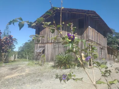 Fazenda/Sítio com 5 Quartos à venda, 332m² no BARRO BRANCO, São Pedro de Alcântara