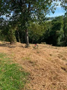 Lote/Terreno à venda, 1071m² no Campo Largo, Jarinu