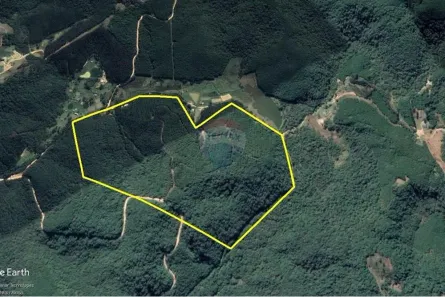 Lote/Terreno à venda, 310000m² no , Tunas do Paraná