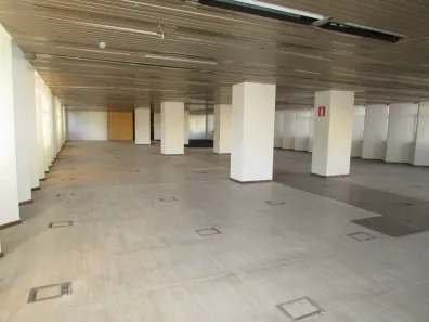 Sala Comercial para alugar, 560m² no Coração de Jesus, Belo Horizonte