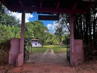 Fazenda/Sítio com 5 Quartos à venda, 125000m² no , Vigia