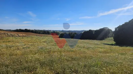 Fazenda/Sítio com 1 Quarto à venda, 48400m² no Lagoa da Pedra, Campo Magro