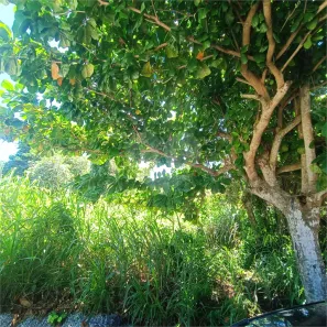 Lote/Terreno à venda, 450m² no Caravelas, Armação dos Búzios