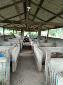 Fazenda/Sítio com 2 Quartos à venda, 27500m² no , Candeias do Jamari