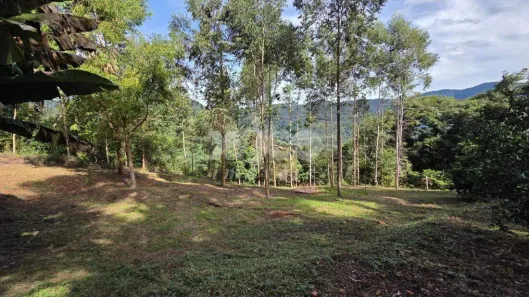 Lote/Terreno à venda, 5000m² no , Nova Petrópolis