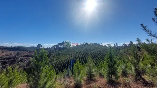 Lote/Terreno com 1 Quarto à venda, 96800m² no , Bocaiúva do Sul