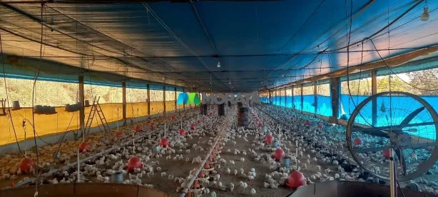 Fazenda/Sítio com 1 Quarto à venda, 65m² no Centro, Pará de Minas
