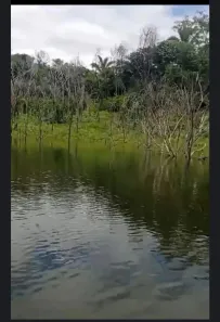 Fazenda/Sítio à venda, 2770000m² no , Niquelândia