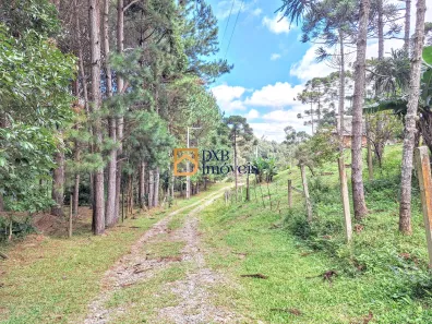 Lote/Terreno à venda, 1950m² no paiol de baixo, Campina Grande do Sul