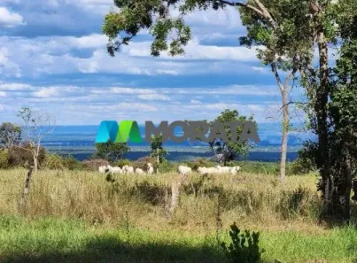 Fazenda/Sítio com 4 Quartos à venda, 547m² no , Buritizeiro