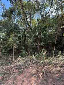 Lote/Terreno à venda, 1029m² no Pau Pombo, Nova Lima
