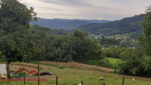 Fazenda/Sítio com 2 Quartos à venda, 6000m² no Picada Holanda, Picada Café