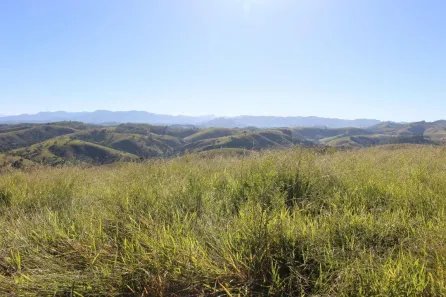 Fazenda/Sítio com 4 Quartos à venda, 300000m² no , Cunha