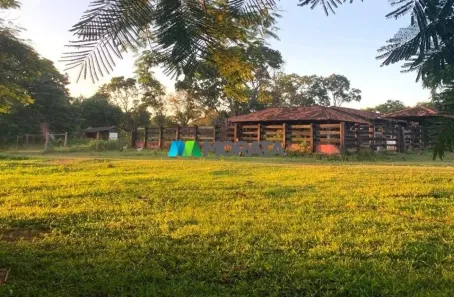 Fazenda/Sítio com 1 Quarto à venda, 200m² no , Felixlândia