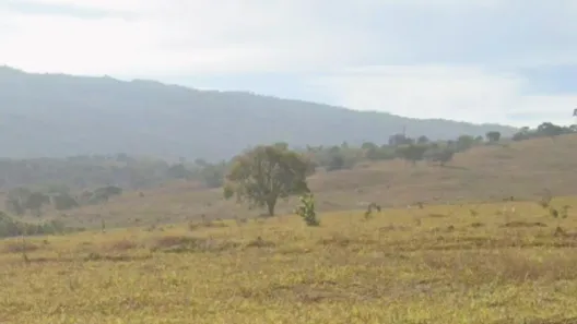 Fazenda/Sítio com 1 Quarto à venda, 380000m² no , Delfinópolis