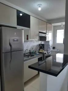 Apartamento com 2 Quartos à venda, 50m² no Sítios de Recreio Céu Azul, Marília