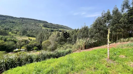 Lote/Terreno à venda, 731m² no Vila Steil, Morro Reuter