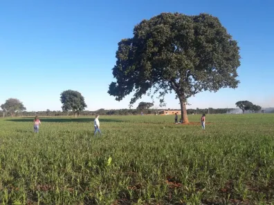 Fazenda/Sítio à venda, 32m² no , Aquidauana