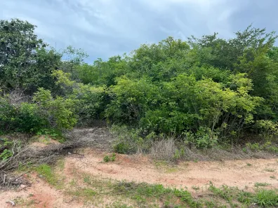 Lote/Terreno à venda, 1500m² no Caponga, Cascavel