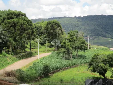Fazenda/Sítio à venda, 4133m² no Dos Boêmios, Nova Petrópolis