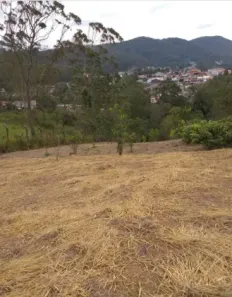 Lote/Terreno à venda, 27000m² no Quarta Divisão, Ribeirão Pires