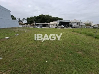Lote/Terreno para alugar, 260m² no Bela Vista, Palhoça